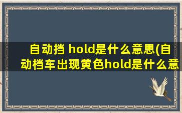 自动挡 hold是什么意思(自动档车出现黄色hold是什么意思)